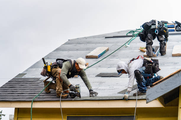 Professional Storm Damage Roof Repair technician working in Toddville, IA